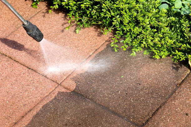 Best Roof Pressure Washing  in USA